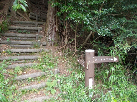 坂下片山神社